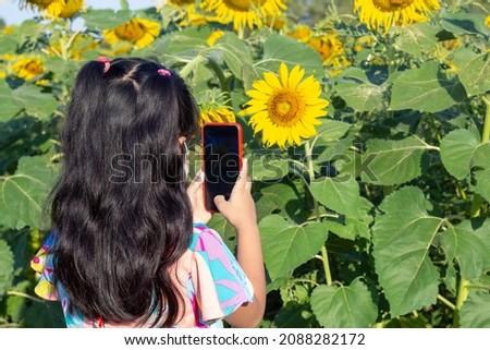 Asian little girl used mobile phone to take pictures of sunflower field on holiday.
