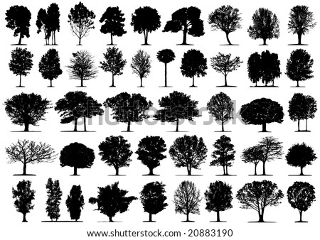 Black tree silhouettes on white background. Vector illustration.