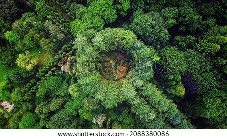 Top view forest tree. Aerial drone photography. Tree circle in the middle.