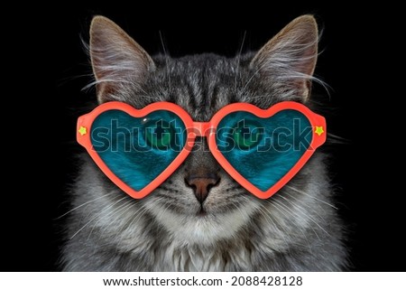 Cat with heart-shaped sunglasses on valentine's day on black background. Funny kitten favorite pet