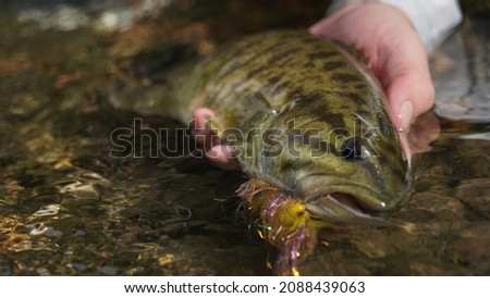a wildlife adventure Down a river Royalty-Free Stock Photo #2088439063