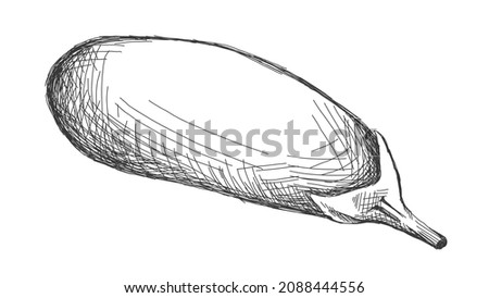 illustration of an eggplant line isolated on white background. Sticker, image for menu, packaging, design element