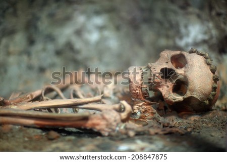 Archaeological find; skeleton of human being Royalty-Free Stock Photo #208847875
