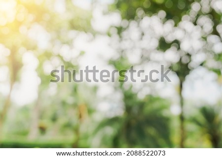 defocused bokeh and blur background of garden trees in sunlight with vintage toned.