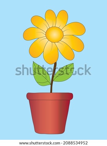yellow flower, green leaf and pot