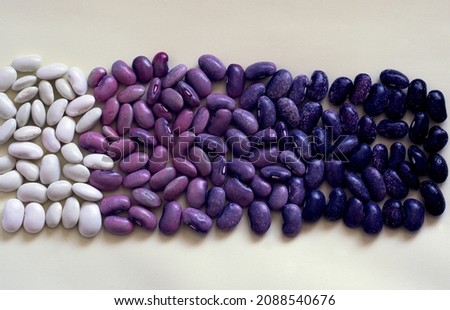 Colorful beans healthy vegetarian food protein trendy purple color