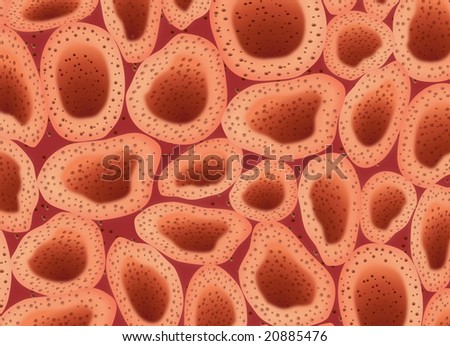 red texture illustration representing cells