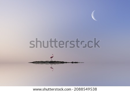 Lonely flamingo on the lake with Crescent moon 