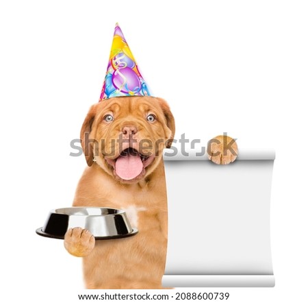 Happy puppy wearing a party cap holds  bowl of dry dog food and shows empty list. isolated on white background