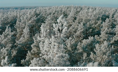 Beautiful Snowy White Forest In Winter Frosty Day. Top View Above Amazing Pine Forest Landscape. Scenic View Of Park Woods. Nature Elevated View Of Winter Frost Woods. Snowy Coniferous Royalty-Free Stock Photo #2088606691