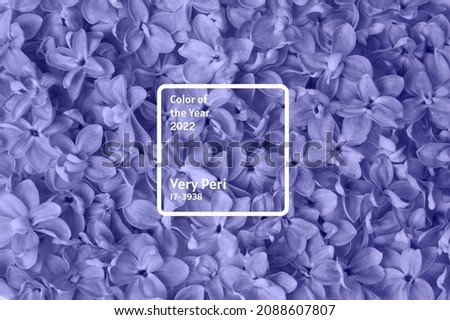 Abstract lilac background. Natural textured. Top view. Trendy color of the year 2022. Very peri Royalty-Free Stock Photo #2088607807
