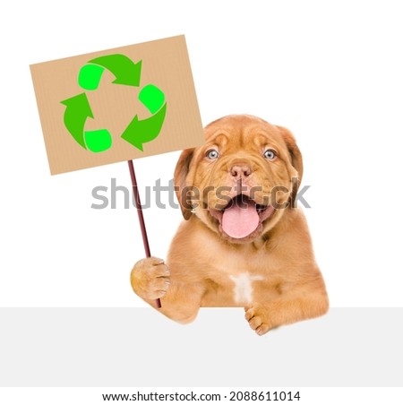 Happy puppy looks above white banner and holds placard with recycling symbol. Eco concept. isolated on white background
