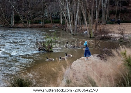 Little girl wearing blue dress looking at the ducks in the river