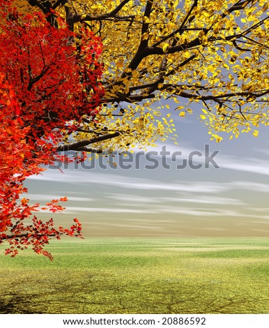 Autumn landscape