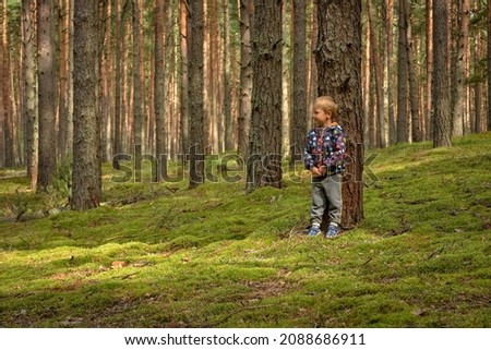 a child in a coniferous forest, a pine forest, a child among tree trunks in the forest Royalty-Free Stock Photo #2088686911