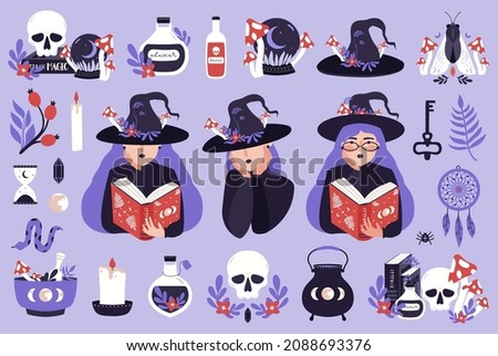 Mystic elements collection in flat style. Set magic illustrations of witch, skull, sphere, old book, witch hat, magic herbs, plants, potion.Witchcraft magical cliparts. Vector isolated elements.