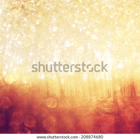 abstract photo of light burst among trees and glitter bokeh 