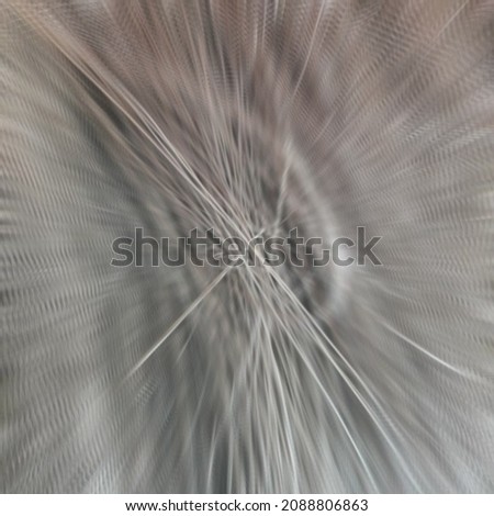 defocused abstract background of a dry straw