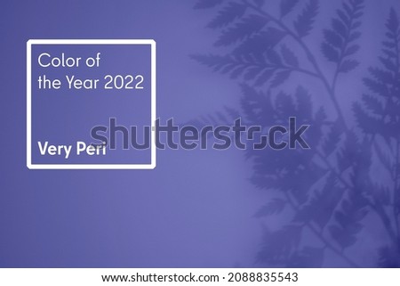 Color of the year 2022 very peri. Trendy colors concept, mockup with copy space. Abstract shadow background of natural leaves branch falling on Purple wall texture.