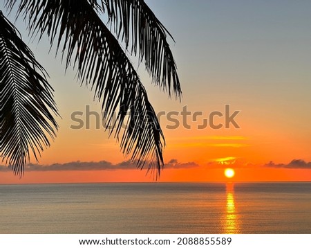 Silhouette coconut palm trees on beach at sunset. Vintage tone. Palm trees against blue sky, Palm trees at tropical coast, coconut tree, summer tree. background with copy space. 