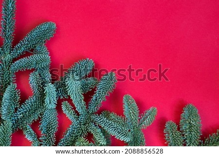 Merry Christmas and Happy New Year decoration background. Fir, pine branches isolated on red background color , copy space, top view