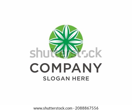 Cannabis circle logo design vector