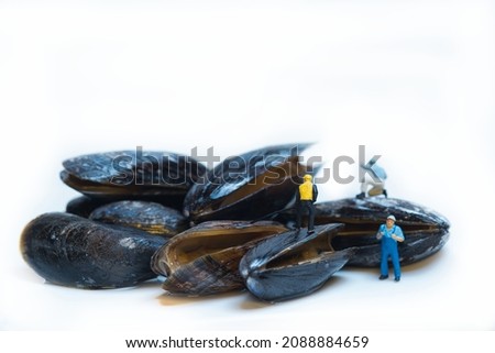 Miniature worker opening a mussel, white background, copy space