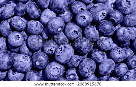 Very Peri color of the year 2022. Blueberries texture toned with 2022 color Very Peri Royalty-Free Stock Photo #2088915670