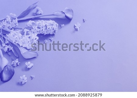 spring flowers on paper background  in  color of year 2022