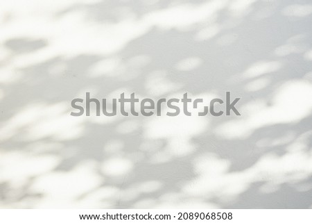 The shadow of the sun shining through the wood Royalty-Free Stock Photo #2089068508