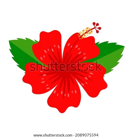 Red Hibiscus flower, Rose of Sharon, chaba with green leaves vector illustration Flat Logo Icon Clipart