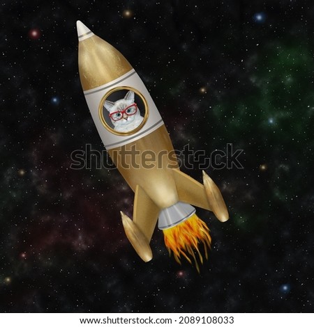 An ashen cat in glasses flies inside a golden space rocket among the stars.