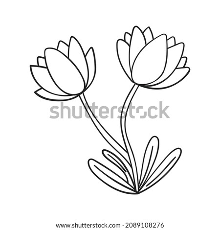 Linear hand drawing flower vector illustration Coloring book page design for adults and kids. Drawing for the kids or adults.