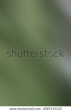 a blurred color light texture overlay background