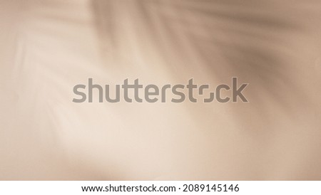 Palm leaves shadow on beige background, freeze motion Royalty-Free Stock Photo #2089145146