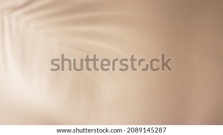Palm leaves shadow on beige background, freeze motion