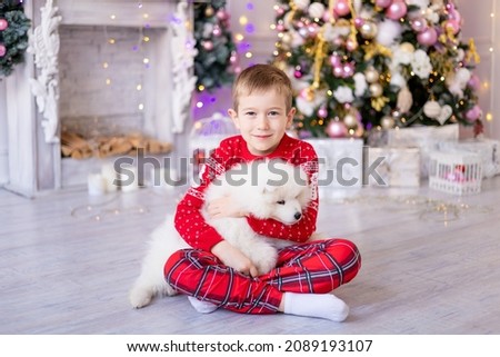 Cute little baby boy with a white Samoyed puppy dog near the Christmas tree, holiday concept, New Year