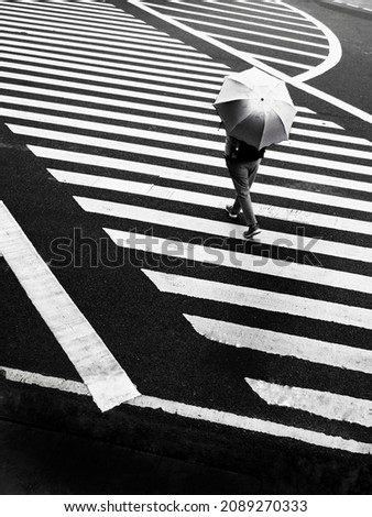 women with umbrella cross the street in the rain. Black and white photography concept