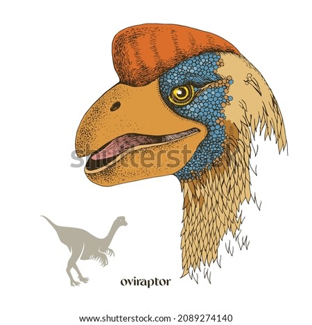 Hand drawn realistic dinosaurus Oviraptor