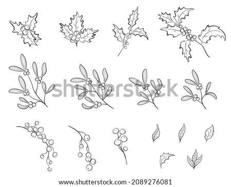 christmas hand drawn plants collection. sketchy holly branch, mistletoe, berries and leaf set. vector floral elements for christmas and new year design