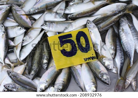 Raw fresh whole tuna fish in market.