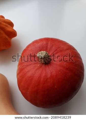 Photo of Two Pumpkins and One PattypanSquash.Orange Pumpkins and the Squash on WhiteBackground.Pumpkins: ButternutSquash and SugarPie Pumpkin.Pumpkins for PumpkinPie, Soup.Autumn Vegetables or Fruits.