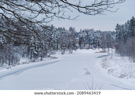 Frozen river Gauja in winter.  Frozen river on a cold winter day. Tree branches on the top part of the picture. Snow all around.