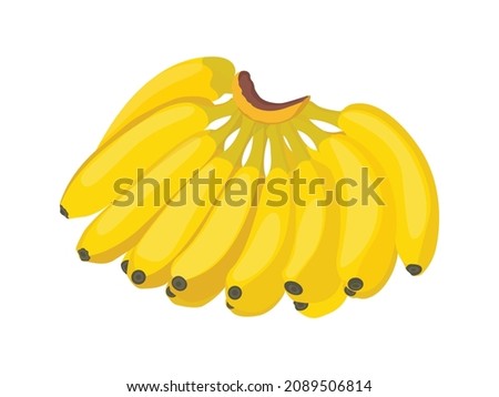 Bananas bunch. Sweet fresh yellow fruit. Colorful vector illustration, isolated on white Royalty-Free Stock Photo #2089506814