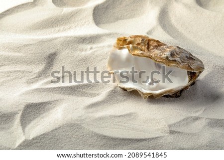 Open oyster with white pearl on sand, space for text Royalty-Free Stock Photo #2089541845