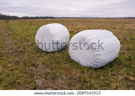 A haystack packed for winter in the field. High quality photo