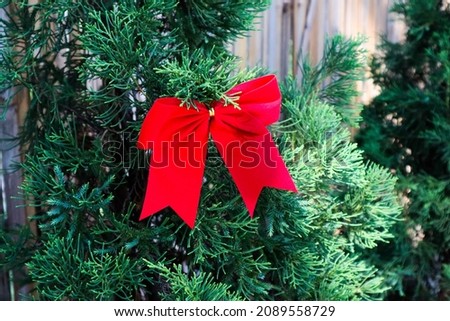 Decorated tree with red ribbon in christmas day.