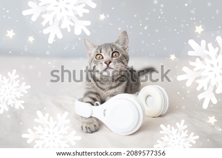 Beautiful cute tabby kitten with wireless technology headphones a gift on knitted blanket. Winter holidays.