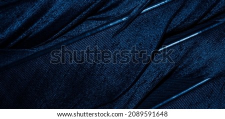 blue bird feather with visible details. background or texture