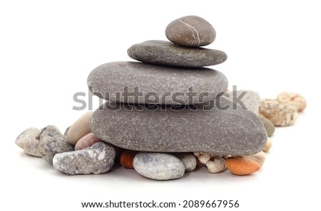 Scales from a stone isolated on a white background.